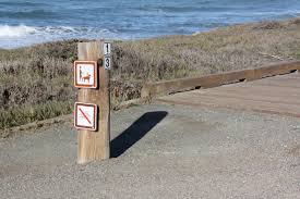 We did not find results for: Moonstone Beach Cambria Ca California Beaches