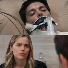 Sasha's Involvement in the Custody Case