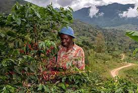 Maybe you would like to learn more about one of these? Nespresso Introduces Amaha Awe Uganda Coffee Hope Of Uganda