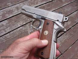 Image result for Beige 1983 Colt