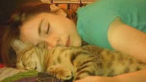 Ming Needs Surgery, Please Help by Jazzbeaux Kile