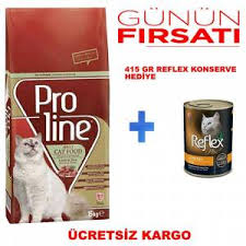 Yas Kedi Mamasi Gittigidiyor