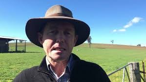 Peter Lott's Instagram, Twitter & Facebook