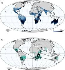 Image result for Neojeffreya