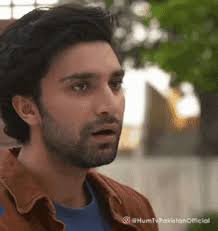 Adam Adam Sultan GIF