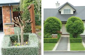 Having a smaller plot doesn't mean you can't have a fabulous garden. Smaller Ornamental Trees Mitre 10