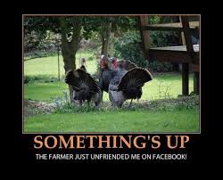 Turkey Fryer Safety Cowart Insurance Funny Thanksgiving Memes Happy Thanksgiving Memes Happy Thanksgiving Pictures