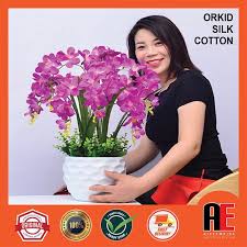 Trial spm 2611 2 sallz mia. Ready Stok Pokok Orkid Hiasan Viral Bunga Orkid Cantik Shopee Malaysia