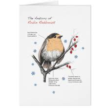 The Anatomy Of Robin Redbreast Card Xmas Christmaseve Christmas Eve Christmas Merry Xmas Family Kids Gifts Holiday Robin Redbreast Christmas Cards Merry Xmas