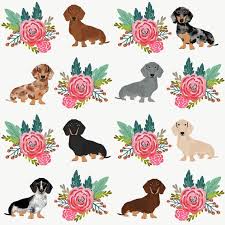 Floral Dog Fabric Doxie Dog Cute Dachshunds Floral Wreath Etsy Dachshund Art Dachshund Love Dachshund