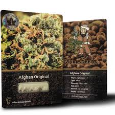 Конопляная каша, мука и молоко. Cemena Konopli Afghan Original Kupit V Ukraine Luchshie Feminizirovannye Semena Kannabisa
