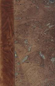 Image result for Emilia subscaposa