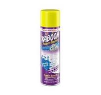 Foamtastic Bathroom Cleaner Fresh Scent, 19 oz Spray Can, 8/Carton
