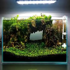 Loving The Hardscape Aquarium Landscape Hardscape Aquascape