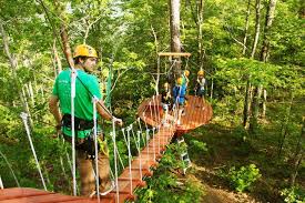 Top 20 Things To Do In Gatlinburg Gatlinburg Tennessee Vacation Gatlinburg Vacation