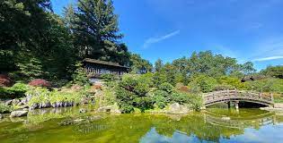 Hakone japanese gardens are open daily. Hakone Gardens Japanese Garden In Saratoga California