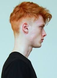 See more ideas about ginger men, redhead men, mens hairstyles. Amazing Style 53 Mens Haircuts For Redheads