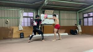 2019年2月9‎日Tang Shou Tao 唐手道Xing Yi Quan(形意拳) sparring 5 ...
