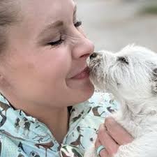 25 cute West Highland White Terrier puppies for sale in Ogden, Utah