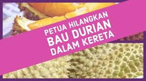 Cara hilangkan bau makanan dalam kereta. How M Chu 7 Cara Hilangkan Bau Durian Yang Menusuk Kalbu