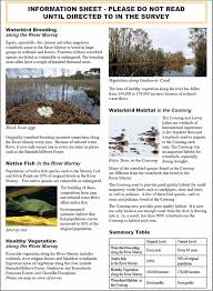Fish in a tree summary. Investigating Internet And Mail Implementation Of Stated Preference Surveys While Controlling For Differences In Sample Frames Springerlink