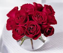 If you're looking for a. 12 Red Roses Arranged In A Vase In Miami Beach Fl Miami Beach Flowers Best Flower Delivery Simple Centerpieces Red Roses