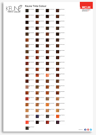 Keune tinta color shade palette 2015. Keune Tinta Color Shades Hair Color Chart Keune Tinta Color Hair Color