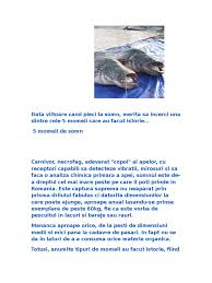 Miezul de paine este na dintre momelile folosite cu succes la prinderea carasului, albuminelor, rosioarelor etc. 5 Momeli De Somn