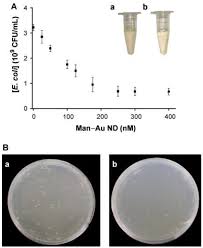 Ijms Free Full Text Antimicrobial Gold Nanoclusters Recent Developments And Future Perspectives Html
