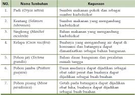 Cinta tanah air juga berarti rela berkorban untuk kepentingan tanah air. Manfaat Kingdom Plantae Atau Tumbuhan Bagi Kehidupan Manusia Materiedukasi Com