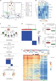 Ras Pathway Mutation Patterns Define Epigenetic Subclasses