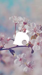 We offer an extraordinary number of hd images that will instantly freshen up your smartphone or. Jinxaesthetics