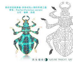 條紋球背象鼻蟲 捨身成就人類的幸福之蟲 昆蟲精品胸章第一彈 humanoid sketch art