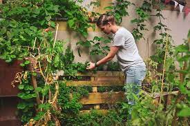 Ich bin silvia und in würzburg. Schritt Fur Schritt Zum Selbstversorger Balkon Garten Fraulein Der Garten Blog Garten Dachterrasse Pflanzen Vertikaler Gemusegarten