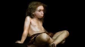 Neanderthals were prey for these animals, the guardian quoted him as saying. Modern Human Females And Male Neandertals Had Trouble Making Babies Here S Why Science Aaas