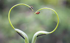 Maybe you would like to learn more about one of these? Best Photography In World Steemit