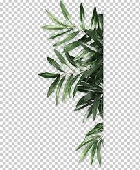 Leaf Be Natural Organics Android Png Android Autumn Leaf Be Natural Branch Decoration In 2020 Leaf Print Art Flower Background Wallpaper Paper Background Texture