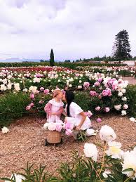 Our Trip To The Peony Farm Peony Farm Backyard Flowers Flower Farm