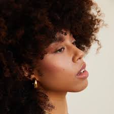 Annie Apple Estelle Gold Stainless Steel Chubby Hoop Earrings