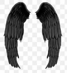 Baby angel wing cookie sweet. Black Angel Wings Images Black Angel Wings Transparent Png Free Download