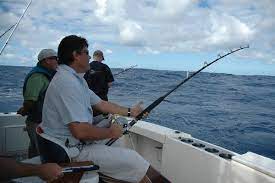 Check spelling or type a new query. Champion New Zealand Big Game Fishing Boat Goes On The Market For Sale Infonews Co Nz New Zealand News