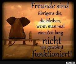 Freunde Sind Ubrigens Die Bleiben Spruche Aufmunternde Spruche Nachdenkliche Spruche