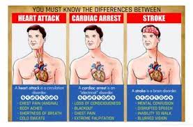 Charles patrick davis, md, phd. The Big Difference Between Heart Attack Stroke And Cardiac Arrest This May Surprise You Razmataz Cardiac Nursing Medical Knowledge Medical Education