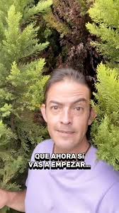 Deja de decir que ahora sí vas a empezar…, 🫩😳🤷🏻‍♂️, El lunes., El 1°  del mes., Cuando acabe el evento., ¿Sabes cuál es el verdadero problema?,  Que postergas lo que más necesitas., Y cada día que lo ...