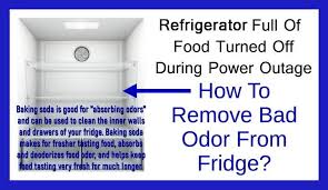 How To Remove Odor From A Refrigerator After Power Loss Samsung Washing Machine Refrigerator Odor Clean Refrigerator