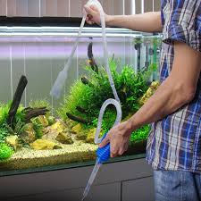 Before you get started with our guide for how to clean an aquarium, make sure you know the answers to the most important questions. Fish Tank Water Changer With Prolonged Pipe Fish Tank Gravel Sand Cleaner Manual Cleaning Strainer Tool For Water Changing And Sand Cleaner Aquarium Fish Tank Clean Kit Pet Supplies Aquarium Substrate Sailingschool Pl