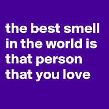 I have all of the required qualifications that you are asking for in this job. The Best Smell In The World Is That Person That You Love Post By Tisay Kow On Boldomatic