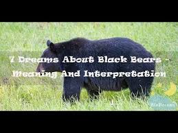 Dreams About Black Bears Meaning And Interpretation Black Bear Bear Meaning Bear