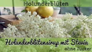 Holunderblutensirup Mit Stevia Holunderblutensirup Ohne Zucker Stevia Stevia Rezepte Sirup