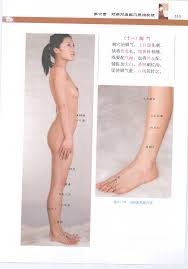 针灸歌诀配彩色图谱[徐玉琢]Super Pose Book  [398P]第38页(共40页),白百合汇聚全球精美的潮吹明星艳照,诱惑明星艳图大全,最新色宅明星艳照排行榜,清凉写真www.7h9u.com